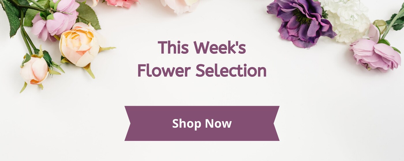 Flower Delivery to North York by Ivy Leaf Designs